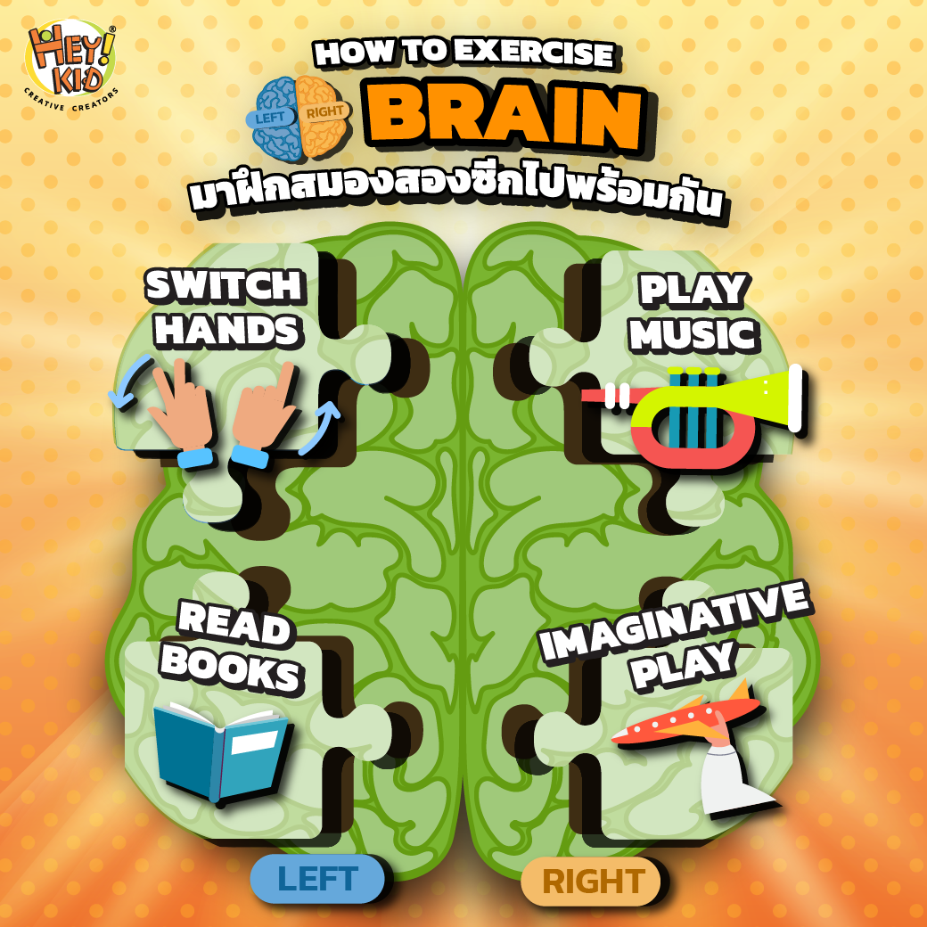 How to Exercise Left and Right Brain?
